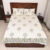 Shadow Bliss Percale Cotton Bedsheet with 2 Pillow Cover (90 Inches X 108 Inches)